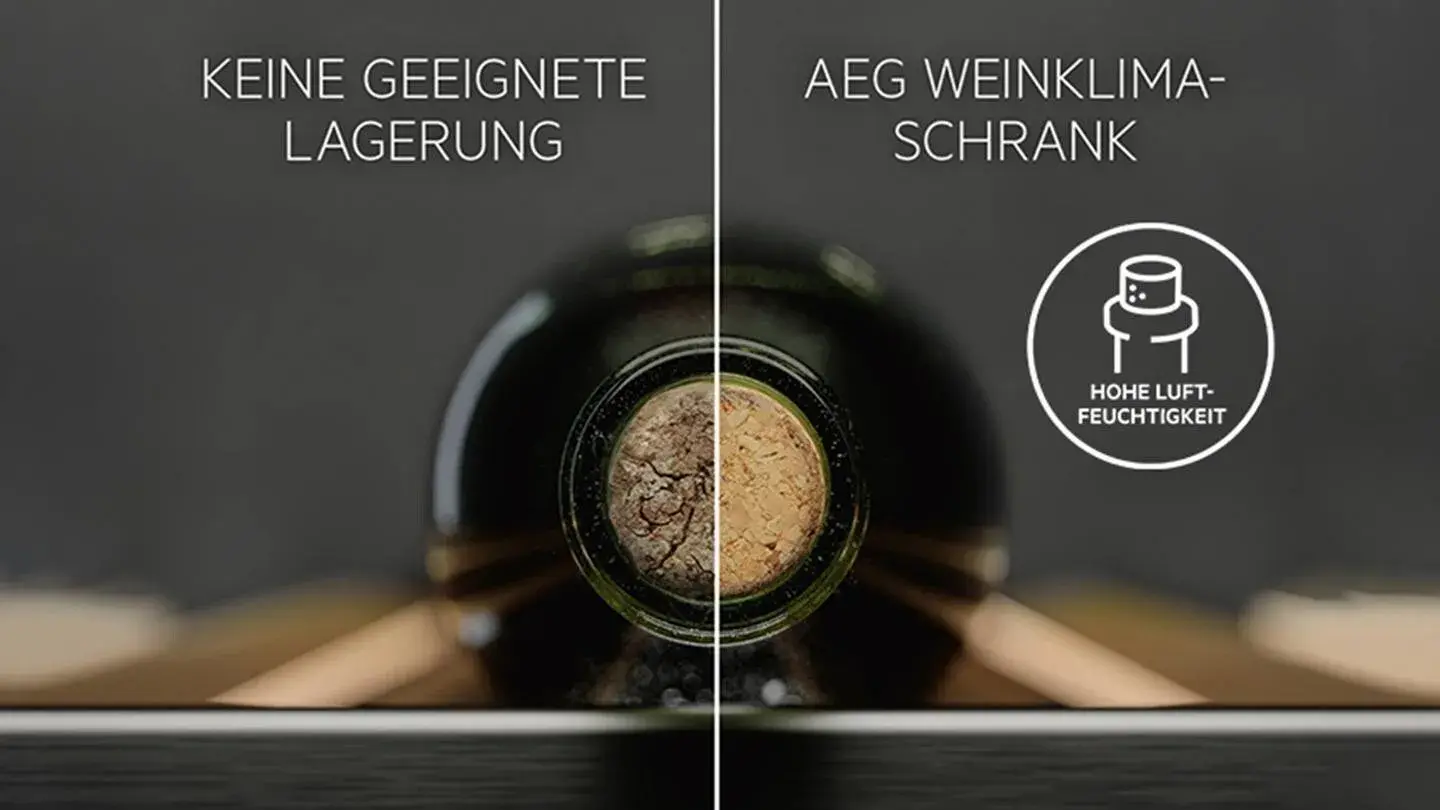 Weinflasche, an der die richtige Lagerung bei passender Luftfeuchtigkeit gezeigt wird. 